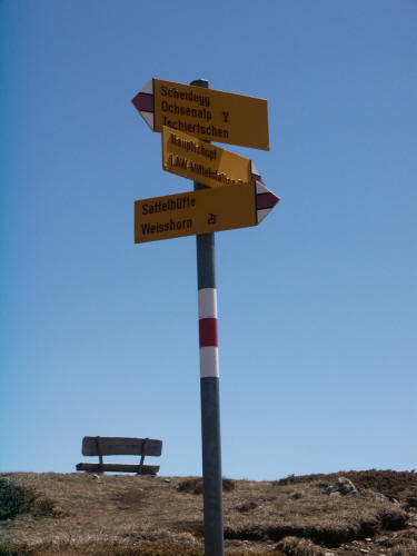 Die Umgebung im Sommer 01